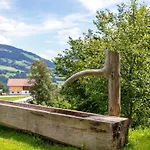 Appartement Schoene Aussicht Hopfgarten im Brixental
