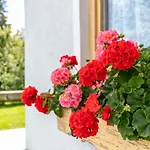 Schoene Aussicht Appartement