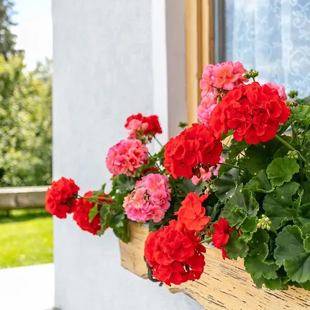 Schoene Aussicht Appartement