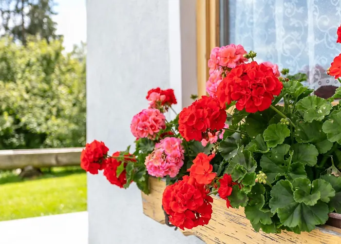 Schoene Aussicht Apartamento